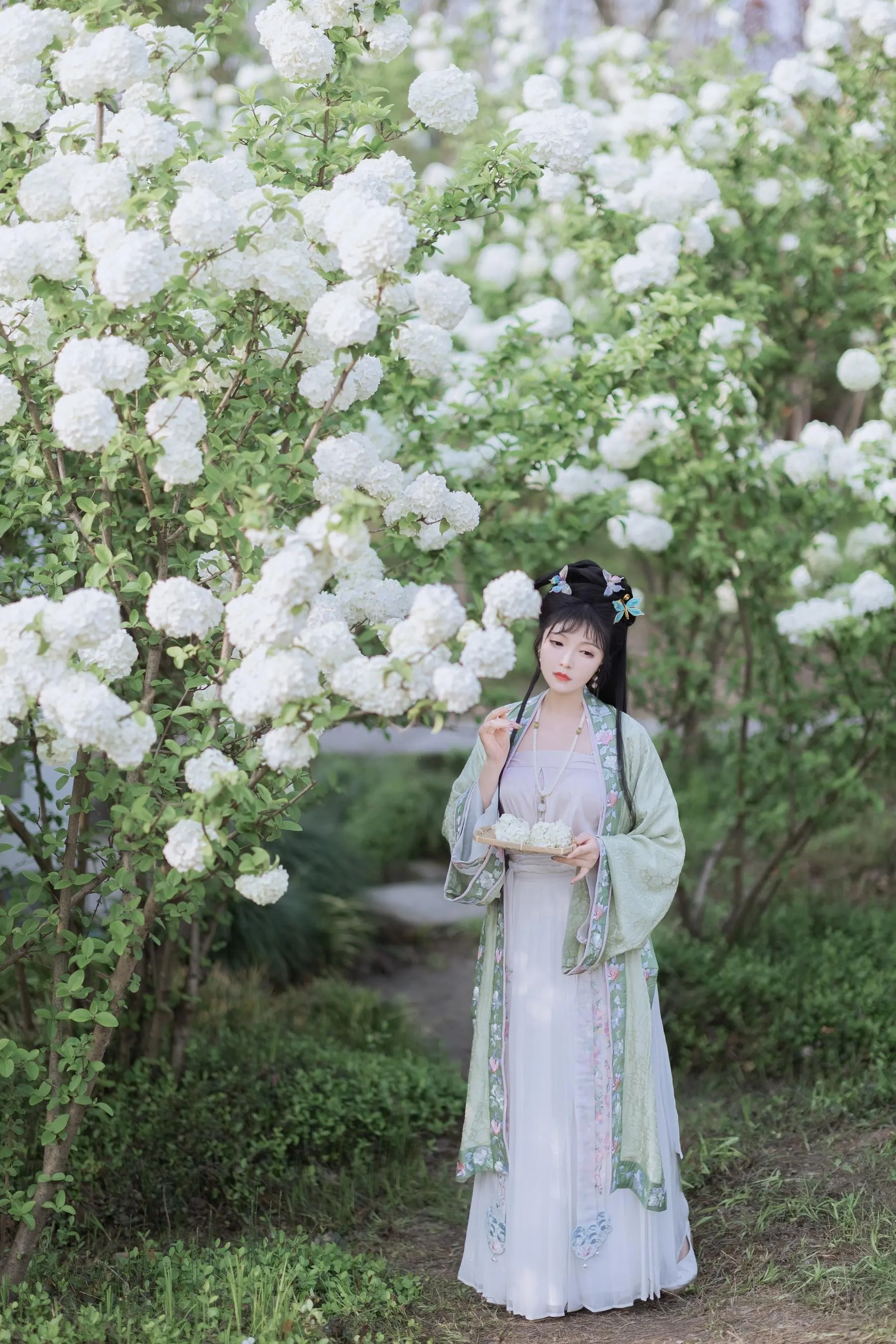 [艺图语] 2022.06.09 探春 璐璐haley [42P]插图1